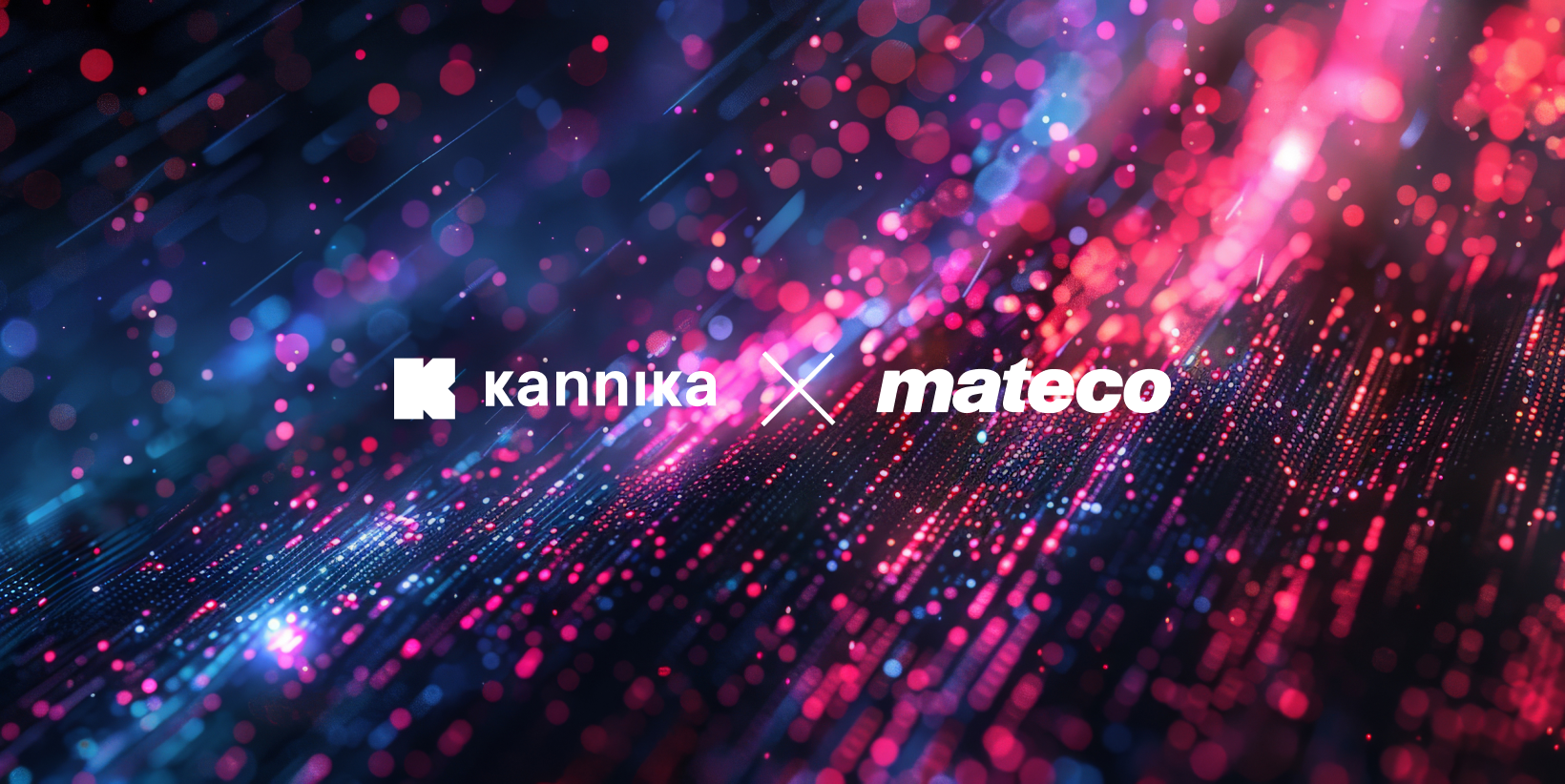 How it all began for Kannika: secure backup & restore at mateco